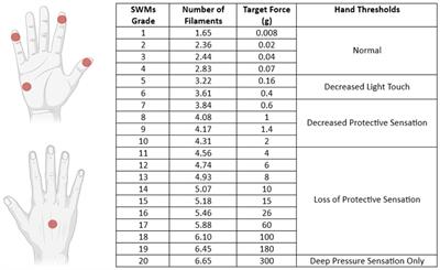 Subclinical finding in the perception of tactile sensation involvement after SARS-CoV2 infection: comparison with healthy controls using Semmes–Weinstein monofilament testing